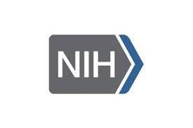 NIH Logo - NIH logo without banner - Discovery Eye Foundation