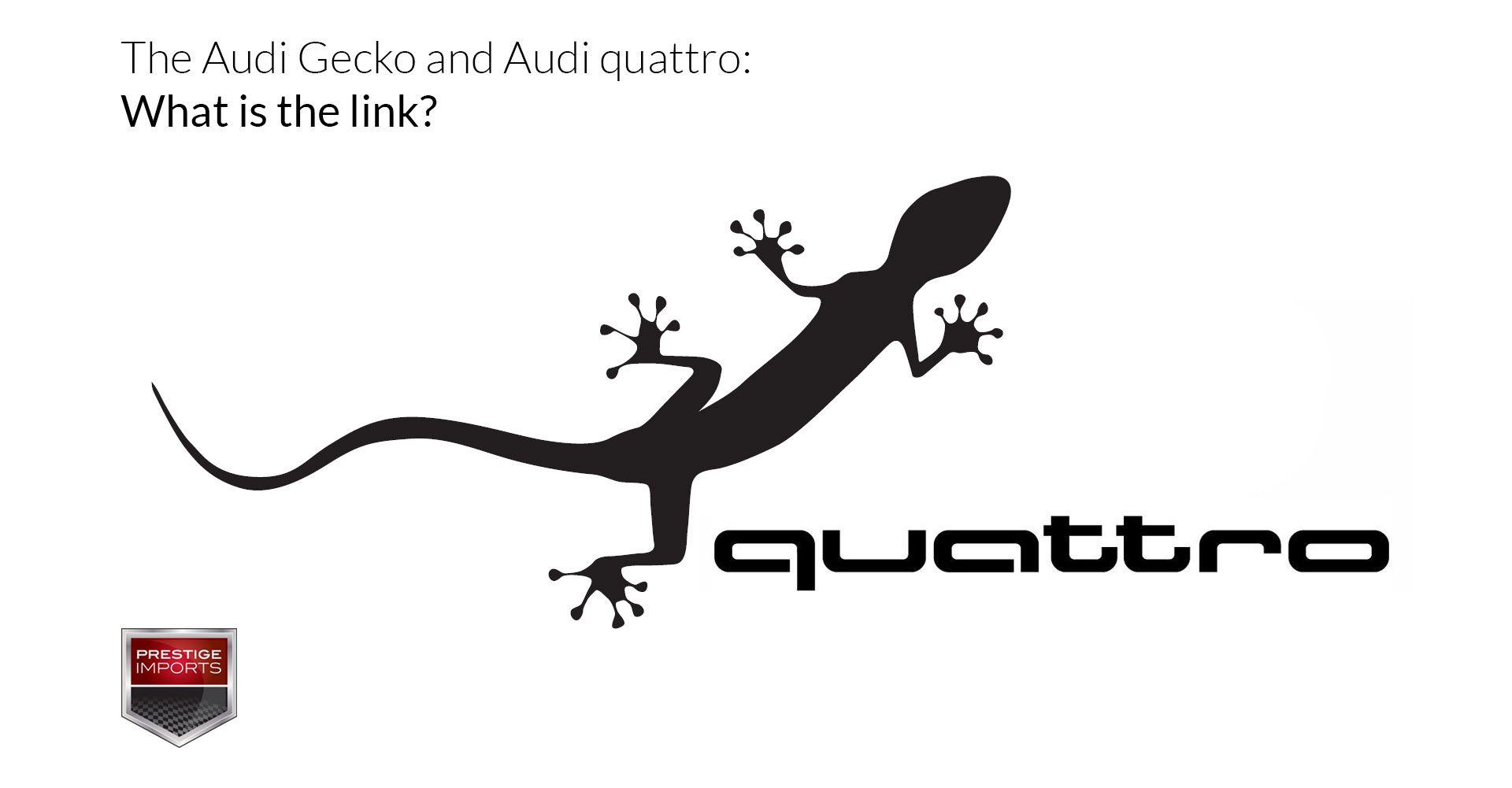 Lizard Logo - Audi gecko logo and Audi quattro: What is the link?