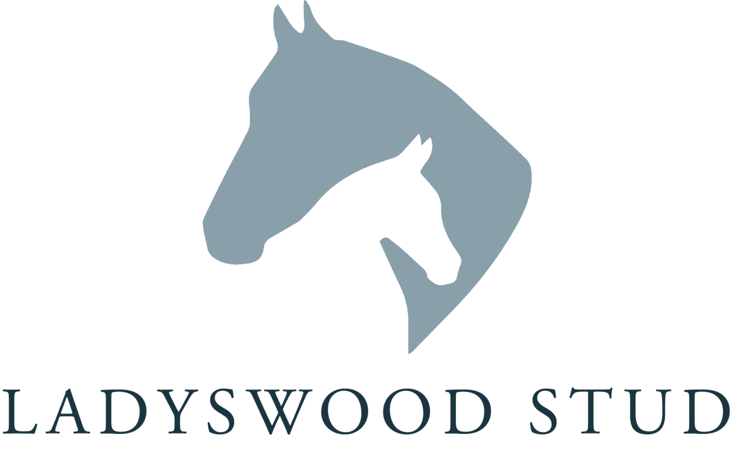 Mare and Foal Logo - Mares & Foals — Ladyswood Farm & Stud