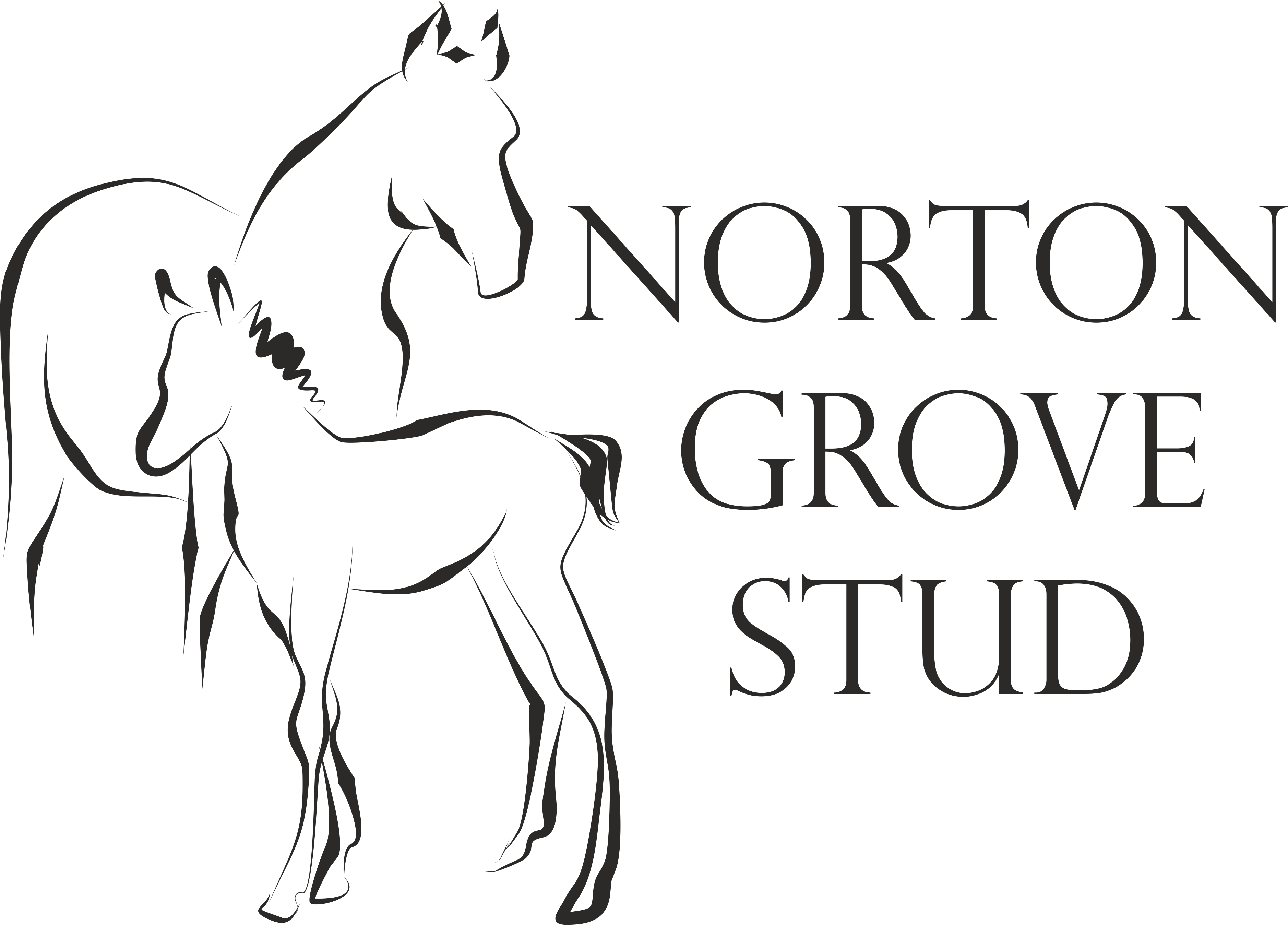 Mare and Foal Logo - mare&foal logo – NORTON GROVE STUD