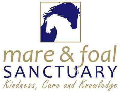 Mare and Foal Logo - The Mare & Foal Sanctuary. eBay For Charity