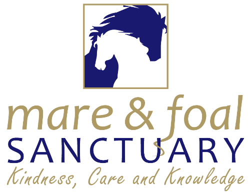 Mare and Foal Logo - Home - The Mare & Foal Sanctuary