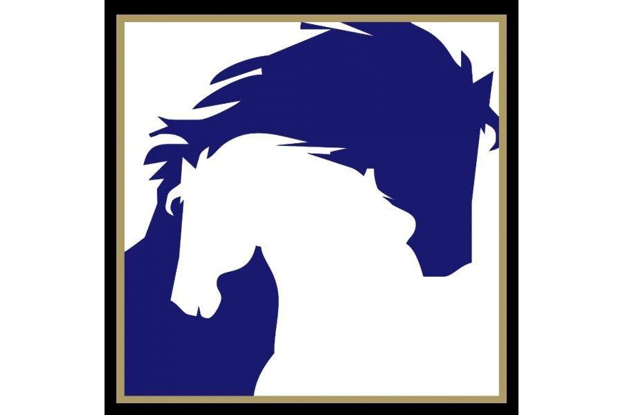 Mare and Foal Logo - The Mare & Foal Sanctuary