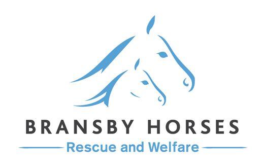 Mare and Foal Logo - Home - Bransby Horses