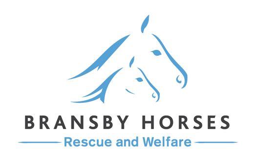 Horse Rescue Logo - Home - Bransby Horses