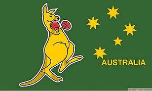Kangaroo Australian Flag Logo - BOXING KANGAROO AUSTRALIA 18 x 12 FLAG suitable for Boats Caravans