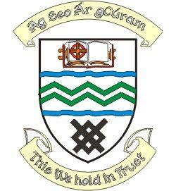 Dublin Crest Logo - South Dublin County Council - Local Authority Prevention Network