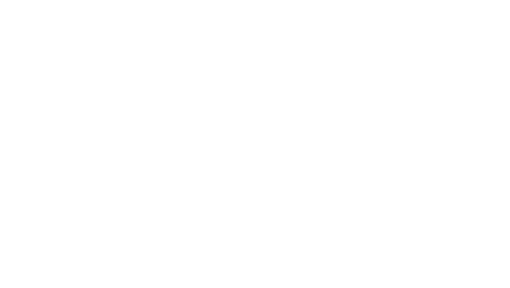 True Auto Logo - Tint Auto Specialist | Tint Auto Specialist