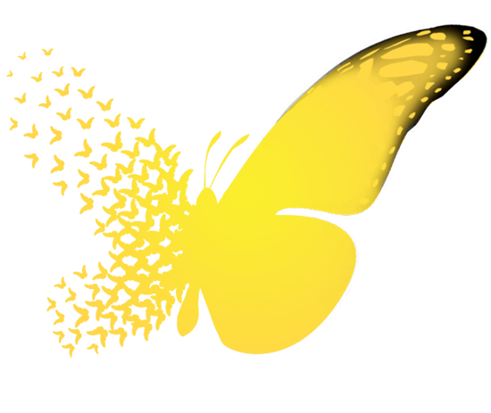 Yellow Butterfly Logo - Opinions on Butterfly effect
