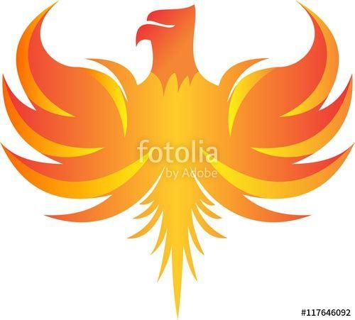 Flaming Birds Logo - flaming falcon bird logo