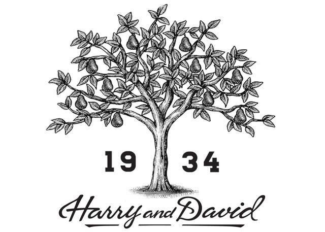 Harry and David Logo - Steven Noble Illustrations: Harry & David Logo