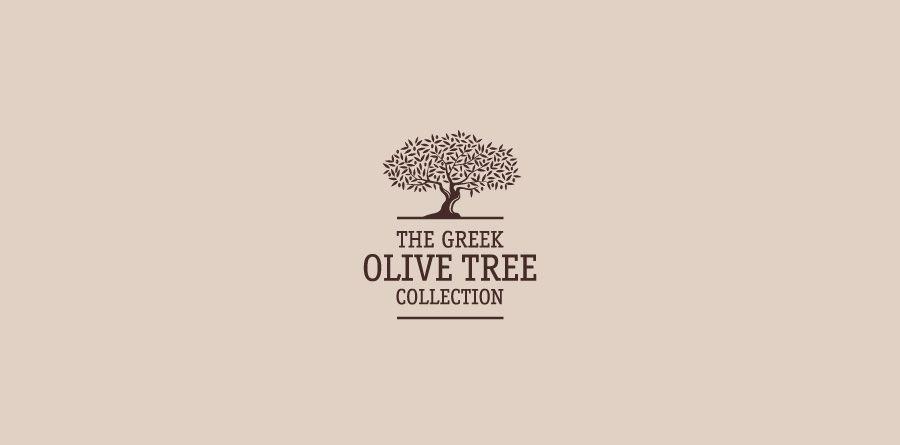 Olive Tree Logo - Olive Tree Logo, Logo design