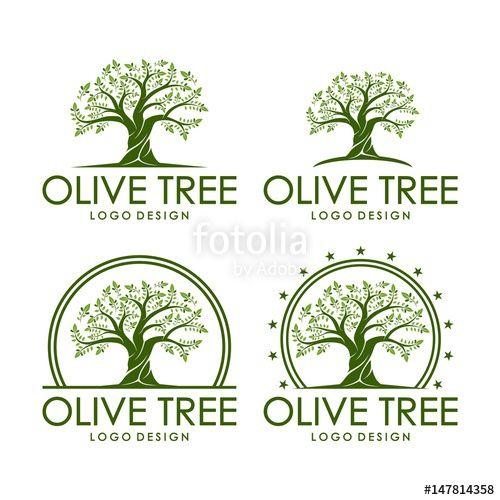 Olive Tree Logo - Olive Tree Design Logo Template Stock Image And Royalty Free Vector