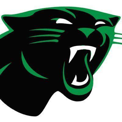 Green Panther Logo - Derby Panther Tennis (@DerbyTennisRep) | Twitter