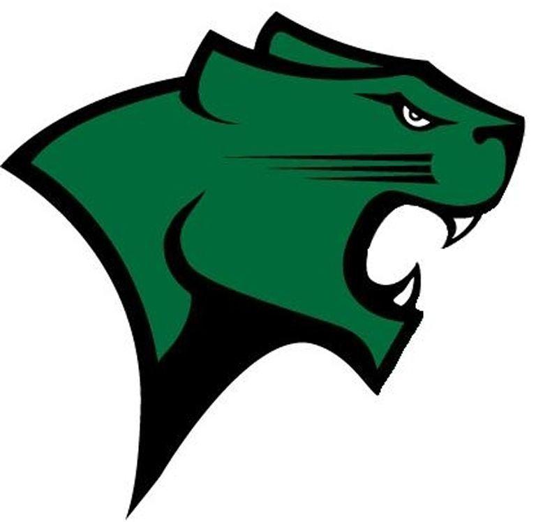 Green Panther Logo - DePaul Hosts Chicago State on Saturday in Rosemont