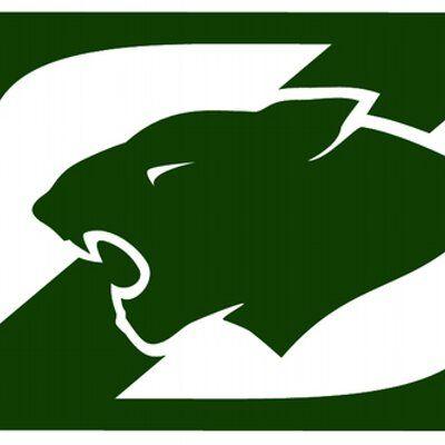 Green Panther Logo - Media Tweets by FZN Activities (@fznactivities) | Twitter