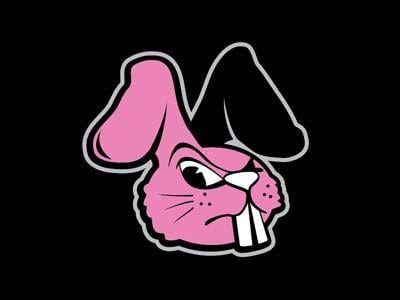 Cool Rabbit Logo - Pink Fluffy Bunnies Logo