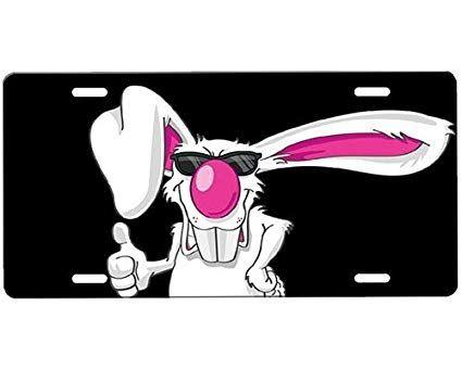 Cool Rabbit Logo - Amazon.com: onestopairbrushshop Cool Rabbit License Plate: Automotive