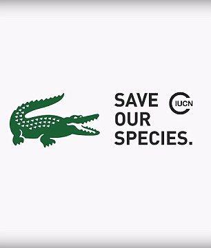 Crocodile Fashion Logo - Lacoste replacing iconic crocodile with endangered species. Daily