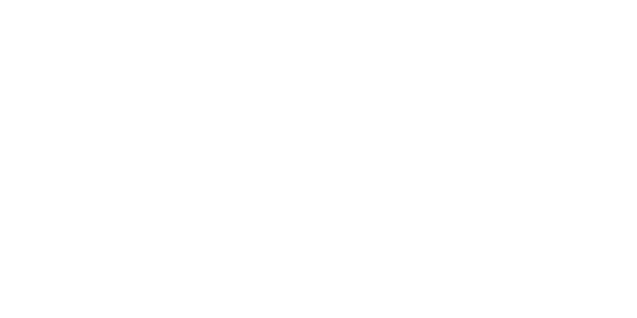 The Division Cleaners Logo - Homeowners F.A.Q. Valet Dry Cleaners, Buffalo, NY