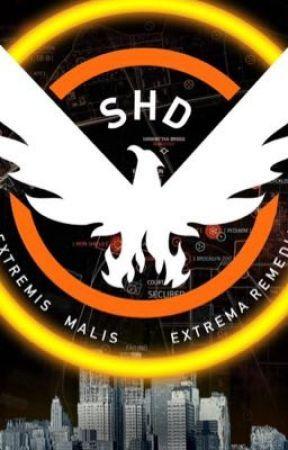 The Division Cleaners Logo - The division