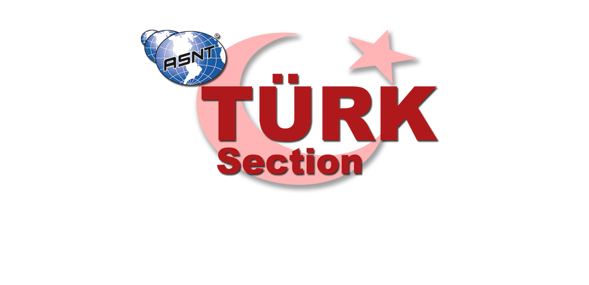 ASNT Logo - ASNT TURKIYE – asnt turkiye
