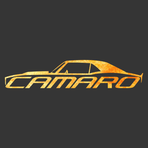 69 Camaro Logo - Sunburst Camaro Ss 67 68 69