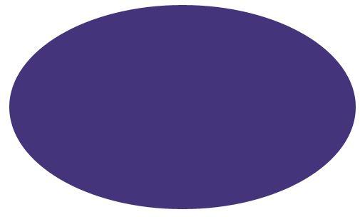 Purple Oval Logo - Concept Visionz Web & Graphic Design Solutions
