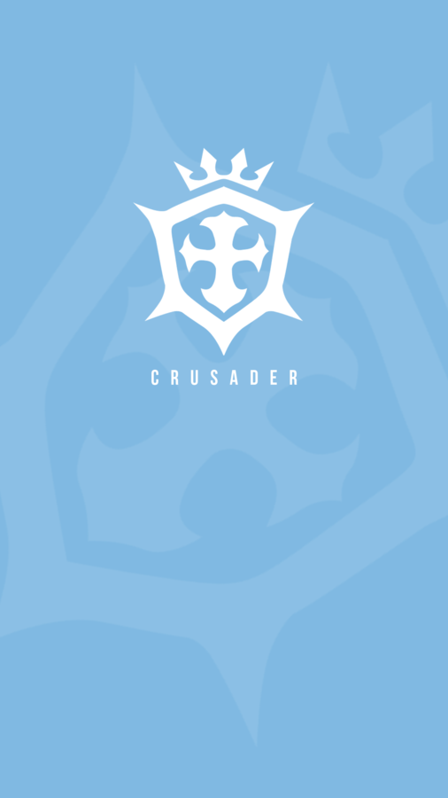 Nest M Logo - Dragon Nest minimalist class icon smartphone wallpapers (1440x2560 ...