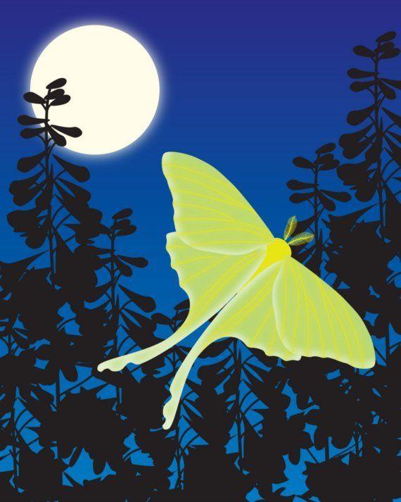 Lunesta Butterfly Logo - Luna Moth and Full Moon Art Print, Summer Night Woodland Animal ...