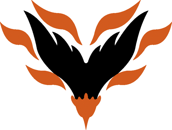 Orange and Black Bird Logo - Albany Firebirds Primary Logo Football League Arena FL