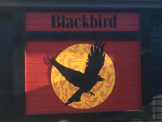 Orange and Black Bird Logo - Exterior Logo - Picture of Blackbird Tavern LLC, Middlefield ...