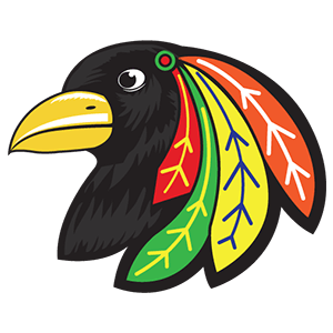 Illiana Blackbirds Logo - Jr Blackbirds | Jr Blackbirds Hockey