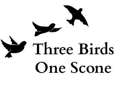 Three Birds Logo - FOOD MAKING FOR THE PRACTICAL FOODIE