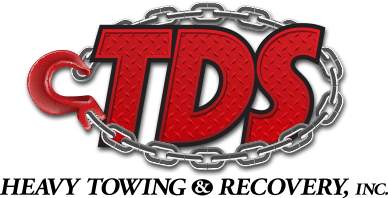 Tds Inc Logo - TDS