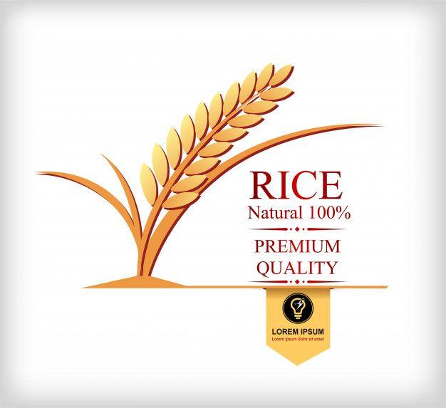 Rice Leaf Logo - Rice gold and leaf logo vector design Vector | Premium Download