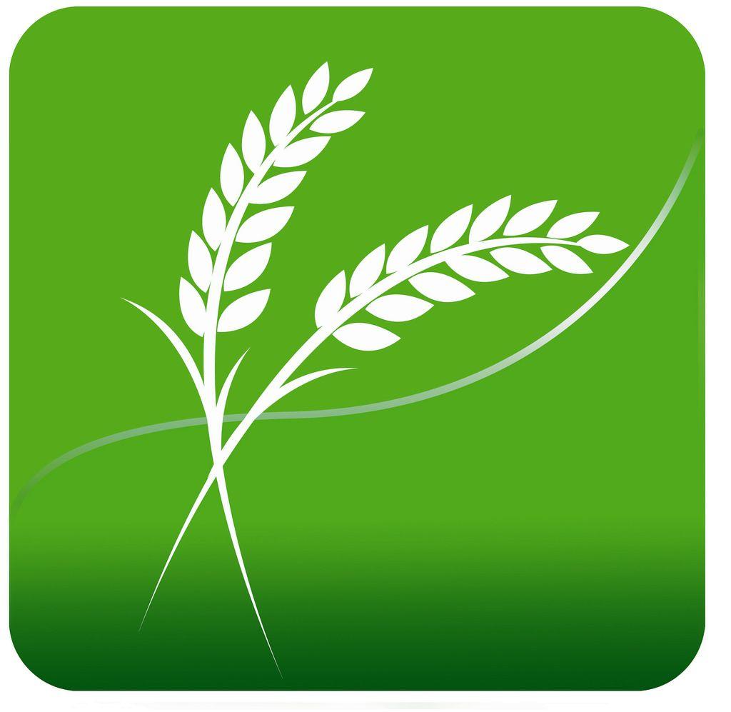 Rice Leaf Logo - Logo Rice | Bunsann Kim | Flickr