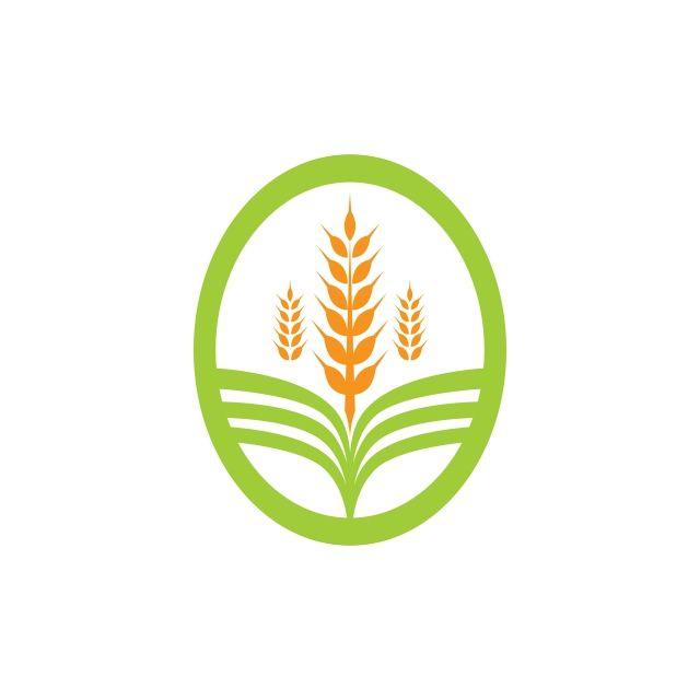 Rice Leaf Logo - Agriculture Business Logo Template Unique Green Vector Image
