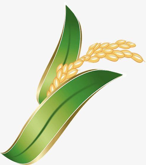 Rice Leaf Logo - Green Leaf Rice, Rice Clipart, Green Leaves, Paddy PNG Image and ...