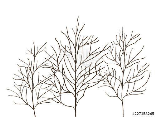 Black and White Tree with Leaves Falling Logo - Black and white hand drawn fall abstract trees without leaves