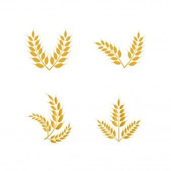 Rice Leaf Logo - Rice Vectors, Photo and PSD files
