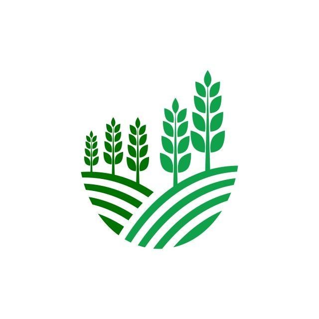 Rice Leaf Logo - Agriculture Business Logo Template Unique Green Vector Image ...