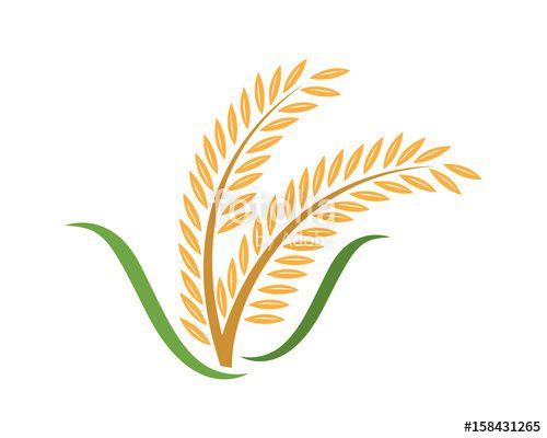 Rice Leaf Logo - Agriculture rice Logo