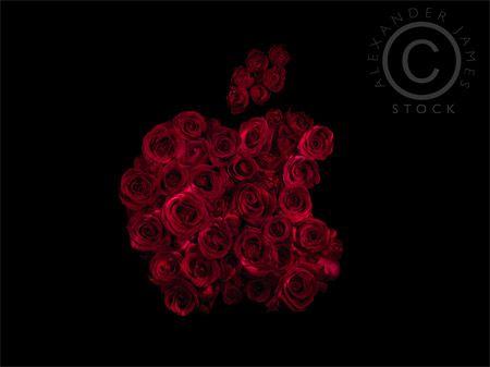 Black and Red Apple Logo - Underwater Roses Still Life Apple Logo 0216 - welcome to the back ...