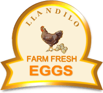 Fresh Eggs Logo - Fresh & Nutritious Eggs Sydney - Llandilo Farm Fresh Eggs