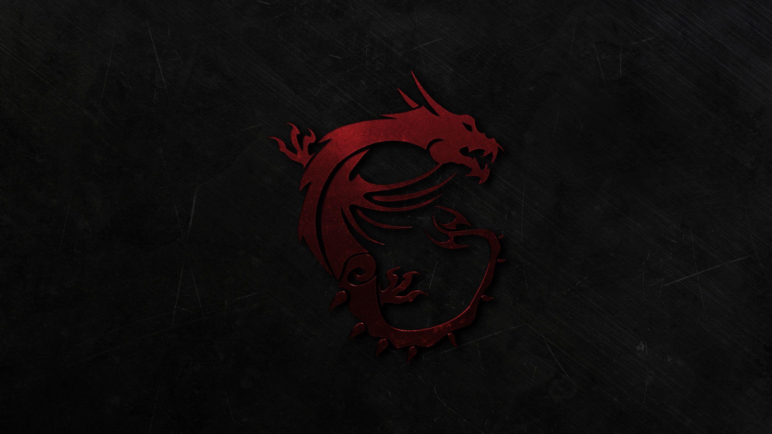 Red 2560x1440 Gamer Logo Logodix