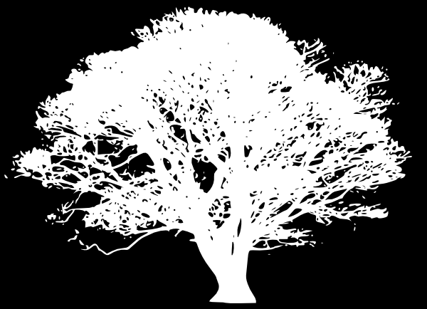 White Tree Logo - White Tree Silhouette On Black Clip Art clip
