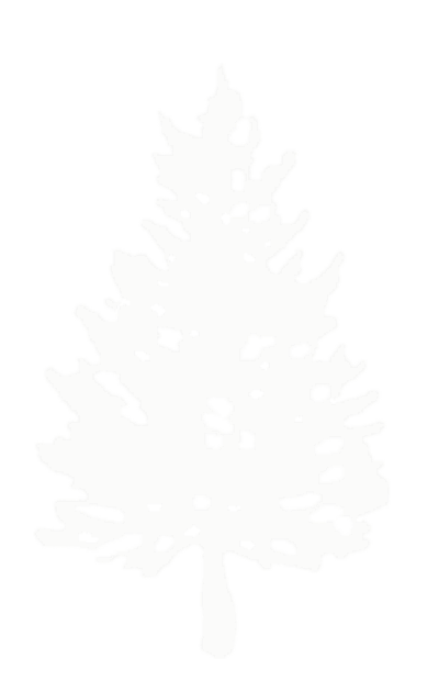 White Tree Logo - Cedar Tree Foundation