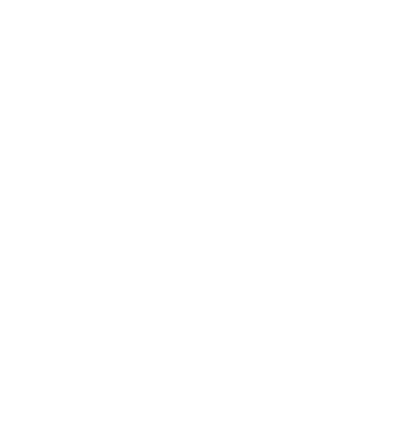 White Tree Logo - Birken Tree Logo Treeonly White Half