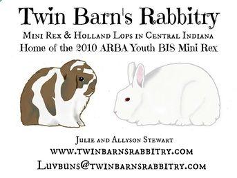 Rabbitry Logo - Rabbitry Logos & Web Design - K A N I N R A B B I T R Y